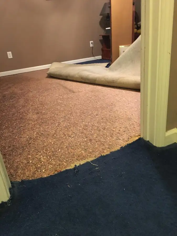 Carpet pad removal revealing water damage during Drying & Dehumidification in Eastmont