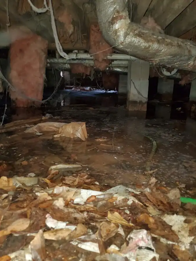 Crawl space flood assessment for Leak Detection & Repair in Eastmont
