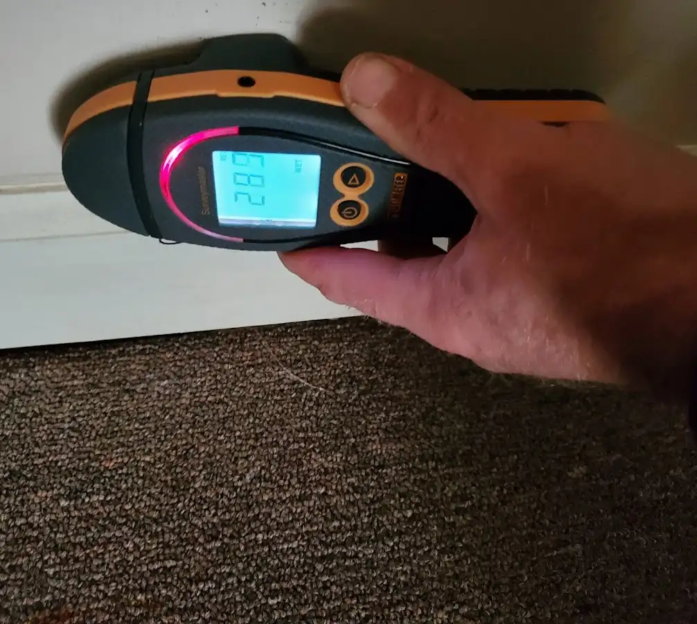 Moisture detection at baseboard during Sewage Cleanup & Sanitation in Eastmont